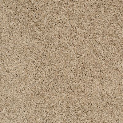 Shaw Floors Anso Foundation Destination Mare II Hazelnut 00750_7D0Q1