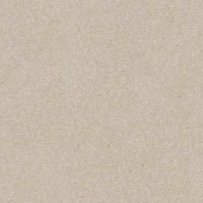 Shaw Floors Carpets Plus Value Modern Elegance I 12 Bleached 00101_7D0U6