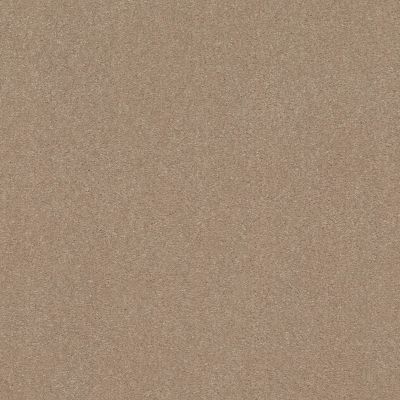 Shaw Floors Carpets Plus Value Modern Elegance I 12 Raw Lumber 00102_7D0U6