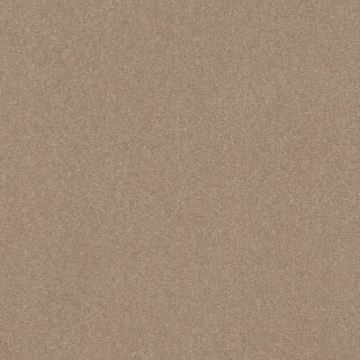 Shaw Floors Carpetland Value Modern Elegance II 12 Raw Lumber 00102_7D0U8