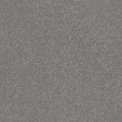 Shaw Floors Carpets Plus Value Modern Elegance II 15 Taupe Stone 00502_7D0U9