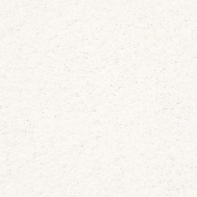 Shaw Floors Fashion Destination New Image Lg Purity 00100_7E0N6