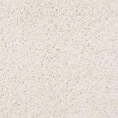 Shaw Floors Fashion Destination New Image Lg Delicate 00103_7E0N6