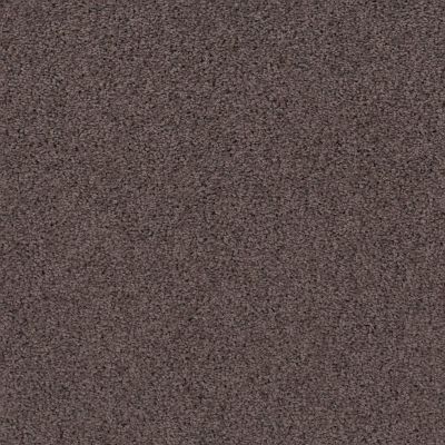 Shaw Floors Fashion Destination New Image Lg Burma Brown 00752_7E0N6