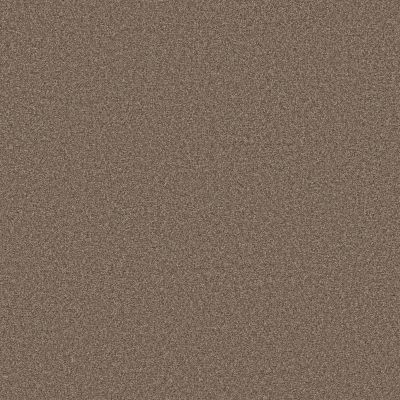 Shaw Floors Carpets Plus Value Matinee I Treasure Trove 00103_7G0K3