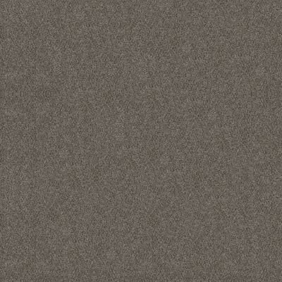 Shaw Floors Carpets Plus Value Matinee I Slate Stone 00105_7G0K3