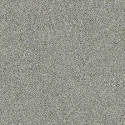 Shaw Floors Carpets Plus Value Matinee II Distant Star 00141_7G0K4