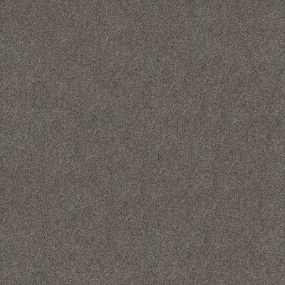 Shaw Floors Carpets Plus Value Matinee II Magnetic 00502_7G0K4