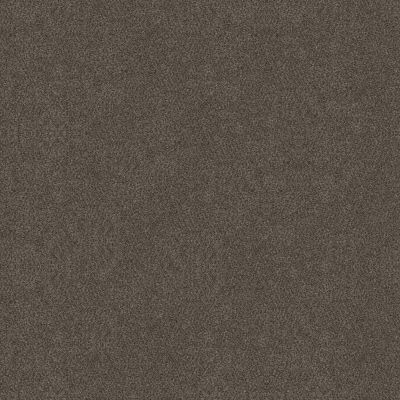 Shaw Floors Carpets Plus Value Matinee II Gateway 00702_7G0K4