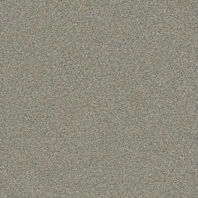 Shaw Floors Carpets Plus Value Matinee III Dreamscape 00740_7G0K5