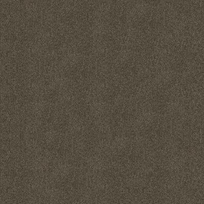 Shaw Floors Carpets Plus Value Matinee III Chestnut Ridge 00751_7G0K5