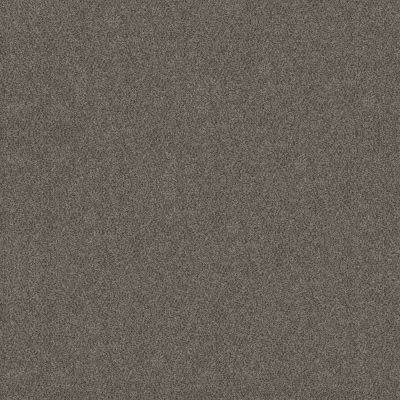 Shaw Floors Carpets Plus Value Matinee Iv Slate Stone 00105_7G0K6