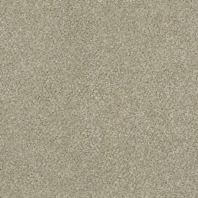 Shaw Floors Carpets Plus Value Matinee Iv Morning Light 00140_7G0K6