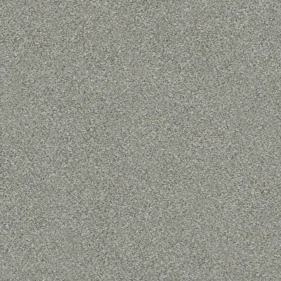 Shaw Floors Carpets Plus Value Matinee Iv Distant Star 00141_7G0K6