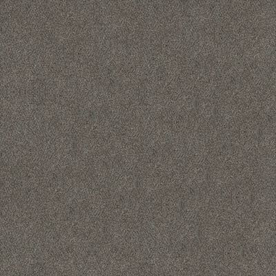Shaw Floors Carpets Plus Value Matinee Iv Magnetic 00502_7G0K6