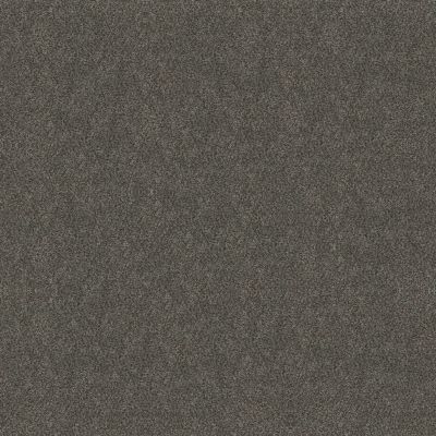 Shaw Floors Carpets Plus Value Matinee Iv Shadow 00703_7G0K6