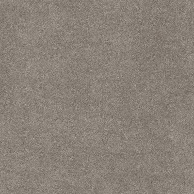 Shaw Floors Carpets Plus Value Melodramatic I Abalone 00101_7G0K7