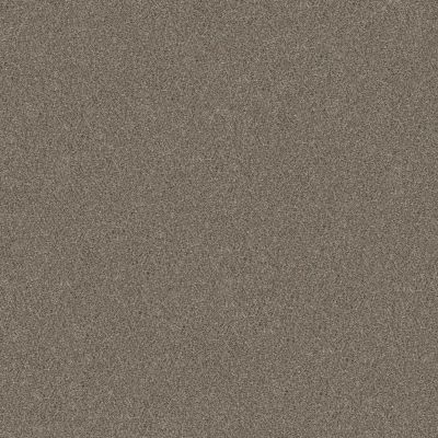 Shaw Floors Carpets Plus Value Melodramatic I Saddle Tan 00700_7G0K7