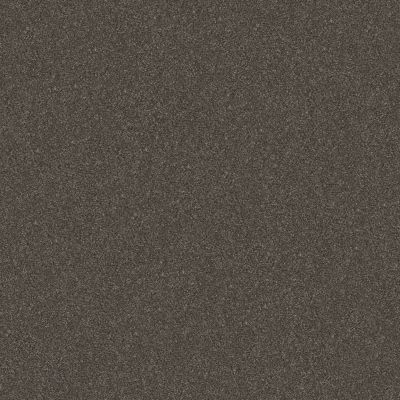 Shaw Floors Carpets Plus Value Melodramatic I Derby 00703_7G0K7