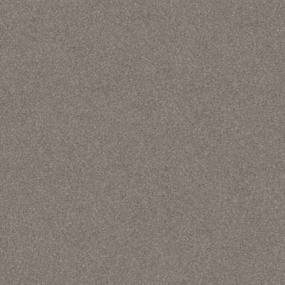 Shaw Floors Carpets Plus Value Melodramatic II Abalone 00101_7G0K8