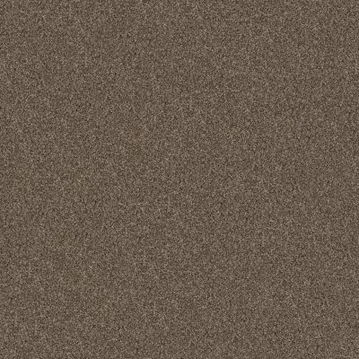 Shaw Floors Abbey&ftg Pet Perfect True Fun II 12 Mission Ridge 00705_7J0L2