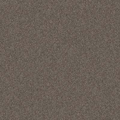 Shaw Floors Abbey&ftg Pet Perfect True Fun II 12 Urban Rustic 00708_7J0L2