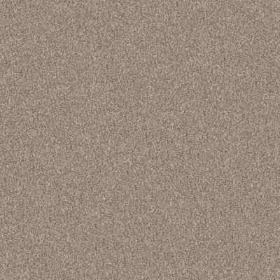 Shaw Floors Abbey&ftg Pet Perfect True Fun III 12 Natural 00109_7J0L4