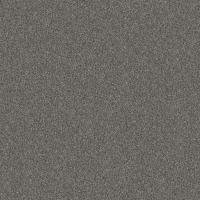 Shaw Floors Abbey&ftg Pet Perfect True Fun III 12 Sea Ice 00403_7J0L4