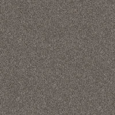 Shaw Floors Abbey&ftg Pet Perfect True Fun III 15 Marble 00103_7J0L5