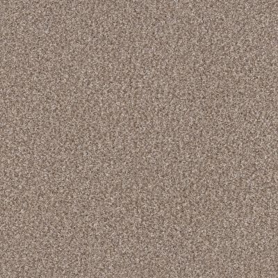 Shaw Floors Abbey&ftg Pet Perfect True Fun III 15 Glacier 00110_7J0L5