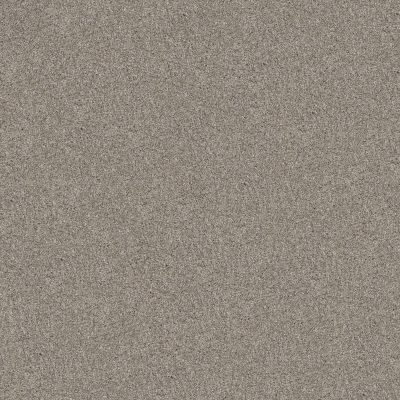 Shaw Floors Abbey&ftg Pet Perfect True Fun III 15 Sculpture 00115_7J0L5