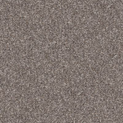 Shaw Floors Abbey&ftg Pet Perfect True Fun III 15 Alaskan Air 00500_7J0L5