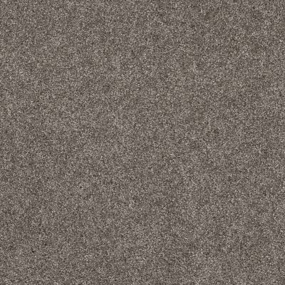 Shaw Floors Abbey&ftg Pet Perfect True Fun III 15 Ashes 00501_7J0L5