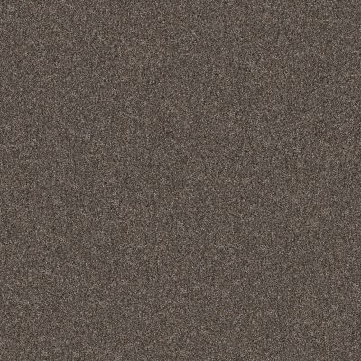 Shaw Floors Abbey&ftg Pet Perfect True Fun III 15 Cafe Noir 00706_7J0L5