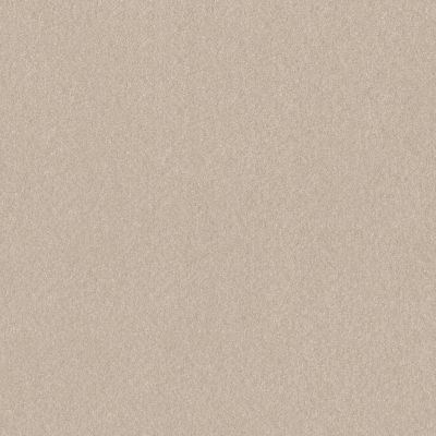 Shaw Floors Abbey&ftg Pet Perfect Take Notice I 15 Warm Light 00116_7J0L7