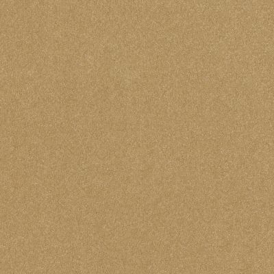 Shaw Floors Abbey&ftg Pet Perfect Take Notice I 15 Honeycomb 00207_7J0L7