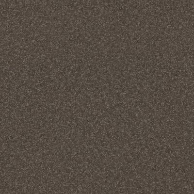 Shaw Floors Abbey&ftg Pet Perfect Take Notice I 15 Urban Rustic 00708_7J0L7