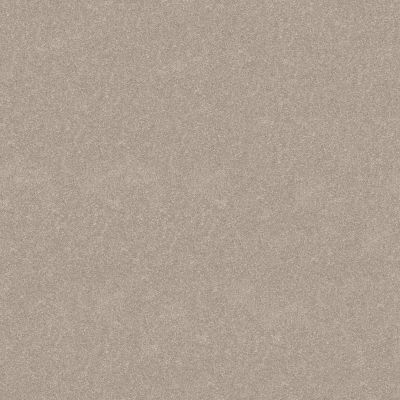 Shaw Floors Abbey&ftg Pet Perfect Take Notice II 12 Soft Sense 00112_7J0L8
