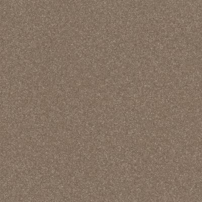 Shaw Floors Abbey&ftg Pet Perfect Take Notice II 12 Cameo 00113_7J0L8