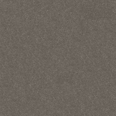 Shaw Floors Abbey&ftg Pet Perfect Take Notice II 12 Ashes 00501_7J0L8