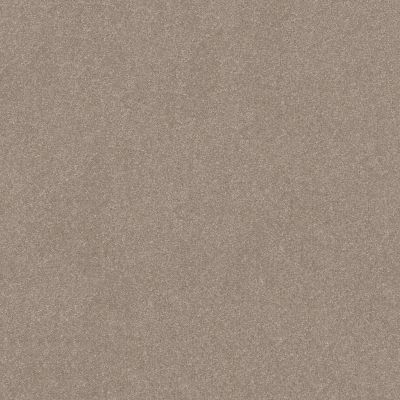 Shaw Floors Abbey&ftg Pet Perfect Take Notice II 15 Glacier 00110_7J0L9