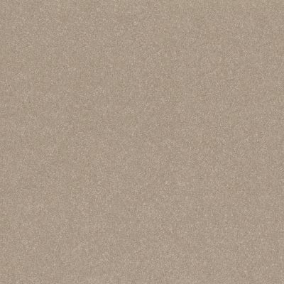 Shaw Floors Abbey&ftg Pet Perfect Take Notice II 15 Subtle Clay 00114_7J0L9