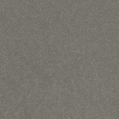Shaw Floors Abbey&ftg Pet Perfect Take Notice II 15 Shy Sage 00352_7J0L9