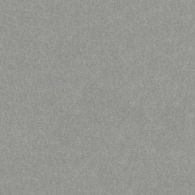 Shaw Floors Abbey&ftg Pet Perfect Take Notice II 15 Frosted Leaf 00353_7J0L9