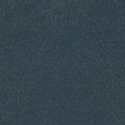 Shaw Floors Abbey&ftg Pet Perfect Take Notice II 15 Refined 00402_7J0L9