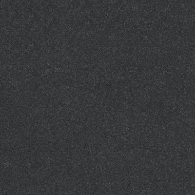 Shaw Floors Abbey&ftg Pet Perfect Take Notice II 15 Shadow 00502_7J0L9