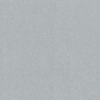 Shaw Floors Abbey&ftg Pet Perfect Take Notice III 12 Serene Blue 00453_7J0M0