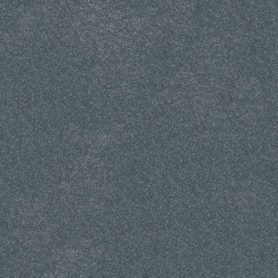 Shaw Floors Abbey&ftg Pet Perfect Take Notice III 12 Reflection 00454_7J0M0