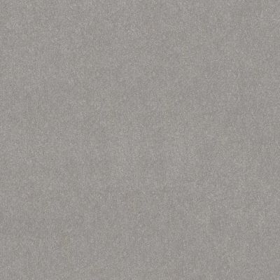 Shaw Floors Abbey&ftg Pet Perfect Take Notice III 12 Rock Crystal 00508_7J0M0
