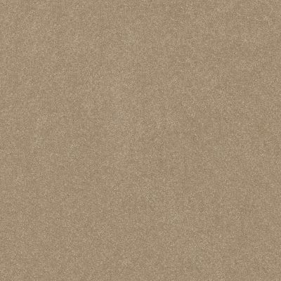 Shaw Floors Abbey&ftg Pet Perfect Take Notice III 12 Worn Path 00700_7J0M0